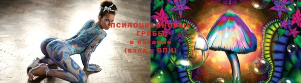 ECSTASY Бронницы
