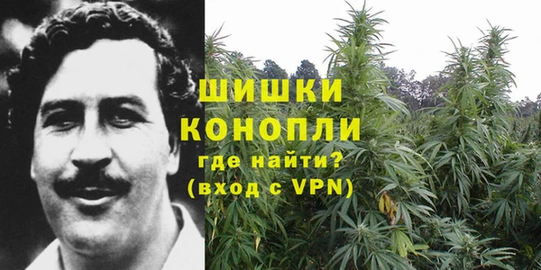 ECSTASY Бронницы