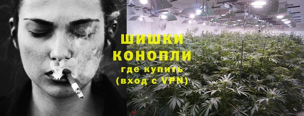 ГАЛЛЮЦИНОГЕННЫЕ ГРИБЫ Бородино