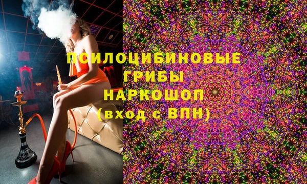 ECSTASY Бронницы