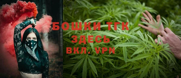 ГАЛЛЮЦИНОГЕННЫЕ ГРИБЫ Бородино